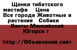 Щенки тибетского мастифа. › Цена ­ 30 000 - Все города Животные и растения » Собаки   . Ханты-Мансийский,Югорск г.